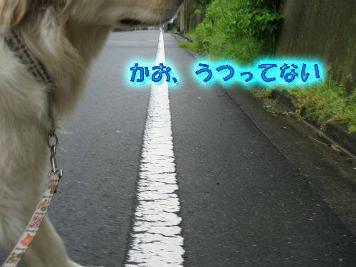 20120504-2.jpg