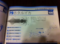 写真 (63)
