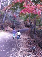写真 (19)