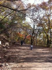 写真 (26)