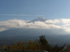 写真 (21)