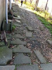 写真 (25)