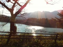 写真 (24)