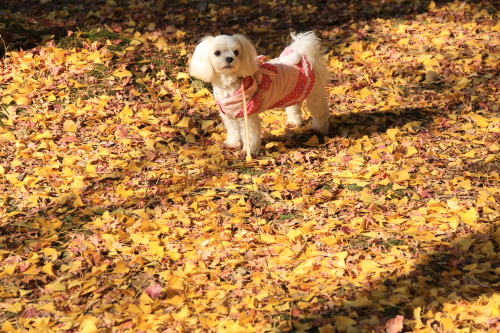 13_12_01__106.jpg