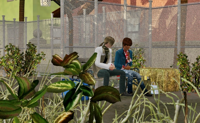 59_201312142241263cb.jpg
