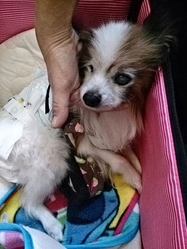 20131031202242e73.jpg