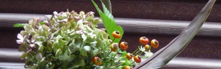 convert_20111020153448.jpg