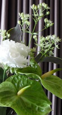 convert_20111020155232.jpg