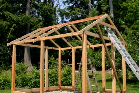 shedlast: Shed greenhouse designs