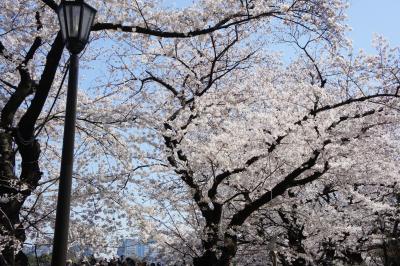 020_convert_20120408200316.jpg