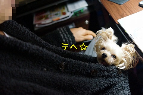 DSC09582.jpg