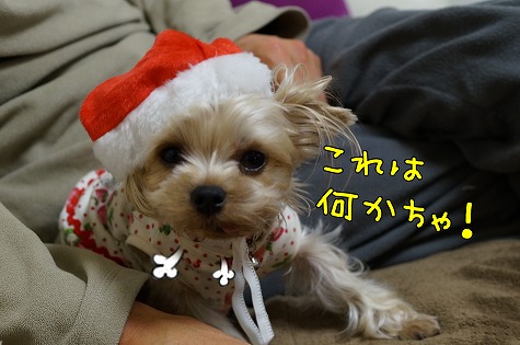 DSC09597.jpg