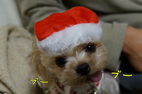 DSC09609.jpg