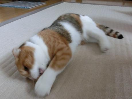 00-04_20140928134123ff9.jpg