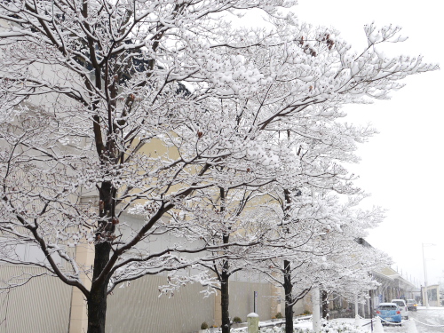 2014-02-08 8-51-18