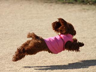 20130211_01.jpg