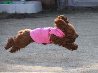 20130211_02.jpg