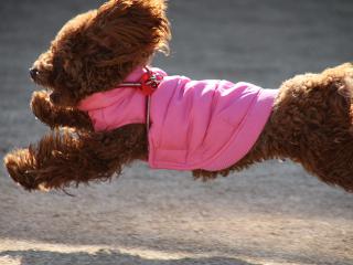 20130211_03.jpg
