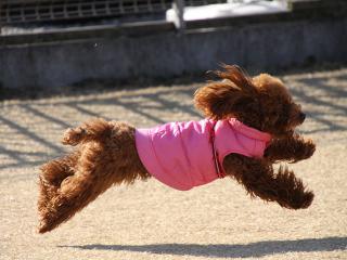 20130211_04.jpg