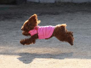 20130211_06.jpg