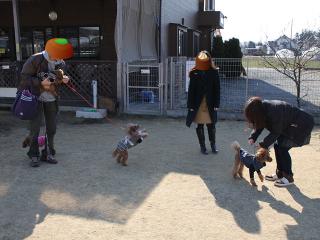 20130211_07.jpg