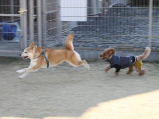 20130211_08.jpg