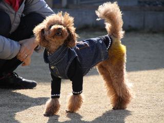 20130211_10.jpg