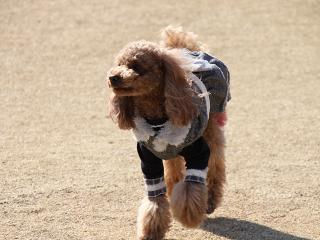 20130211_11.jpg