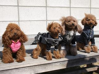 20130211_12.jpg