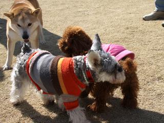 20130211_14.jpg