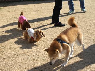 20130211_15.jpg