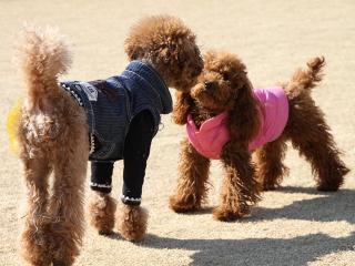 20130211_16.jpg