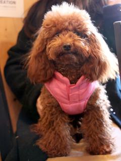 20130211_17.jpg