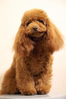 20130211_22.jpg