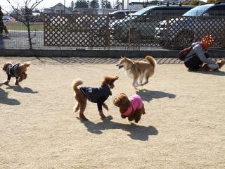 20130211_23.jpg