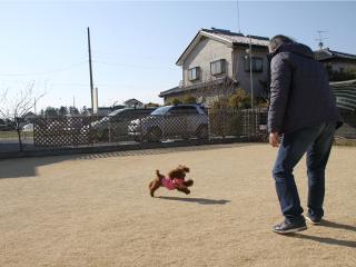 20130211_25.jpg