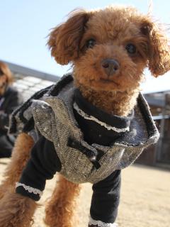 20130211_26.jpg