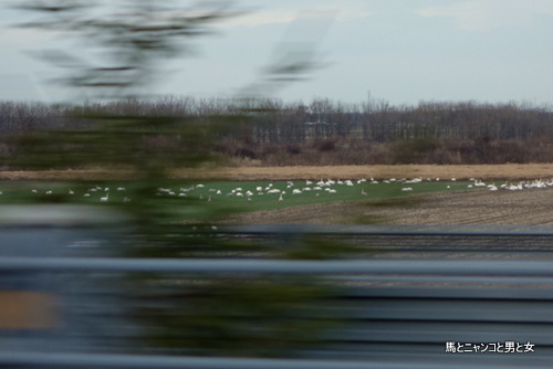 DSC01934_201312050118329f0.jpg