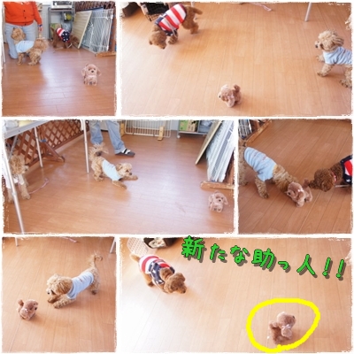 page_20130201201952.jpg
