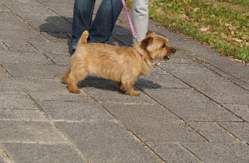 2013GW2DSC00699.jpg