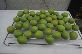 j1.jpg