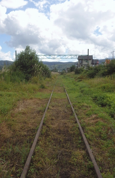 RIMG0797.jpg