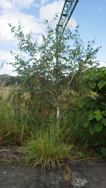 RIMG0849.jpg
