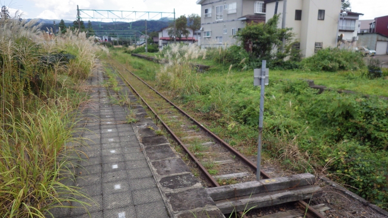 RIMG0850.jpg