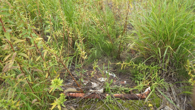 RIMG0857.jpg