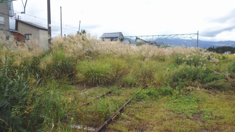 RIMG0867.jpg