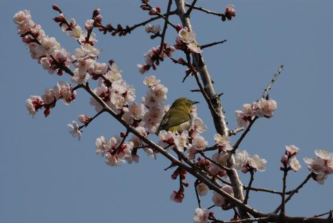 DSC_1279sss.jpg