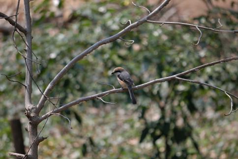 DSC_1307sss.jpg