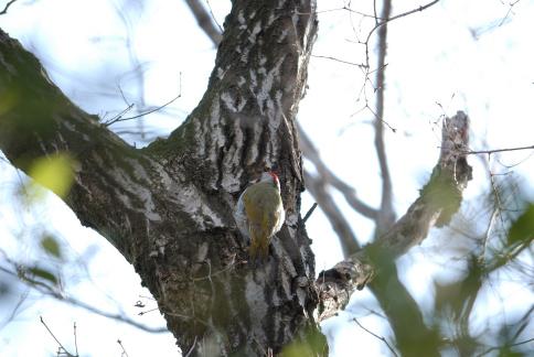 DSC_1341sss.jpg