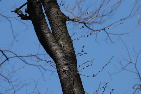 DSC_1353sss.jpg